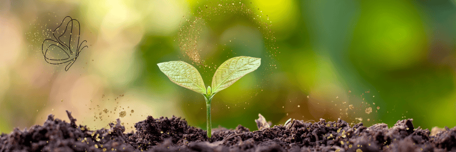 Accompagnement évolution professionnelle ikigaï