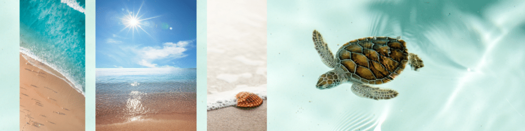 conseils orientation scolaire et ikigaï