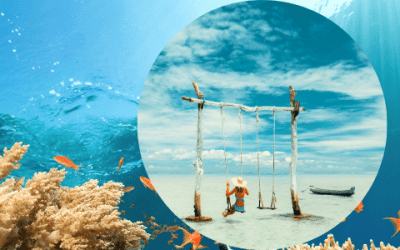 Comment passer de la zone d&rsquo;excellence à votre zone de génie ?