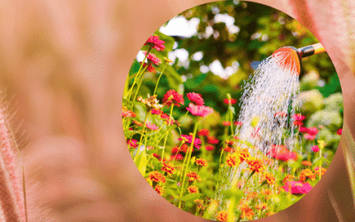 Ce que raconte le jardinage pour mieux vivre sa vie professionnelle